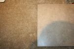 Carpet and Tile